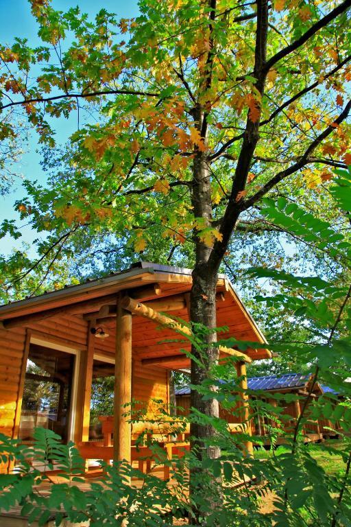 Albirondack Camping Lodge & Spa Cameră foto